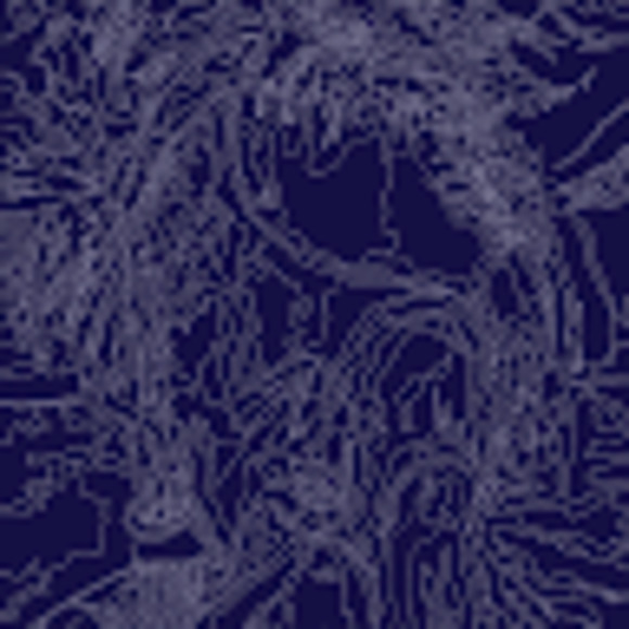 Meet your Posher, Clem - Picture 1 of 1